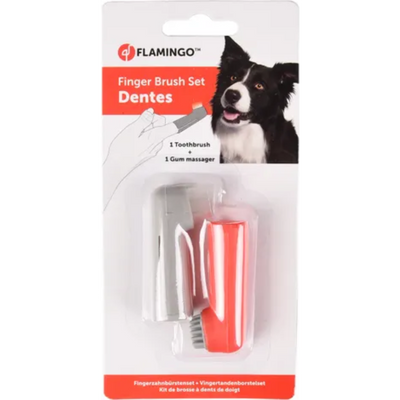 Brosse à dents doigtier pour chien et chat – La Passion Canine Maroc