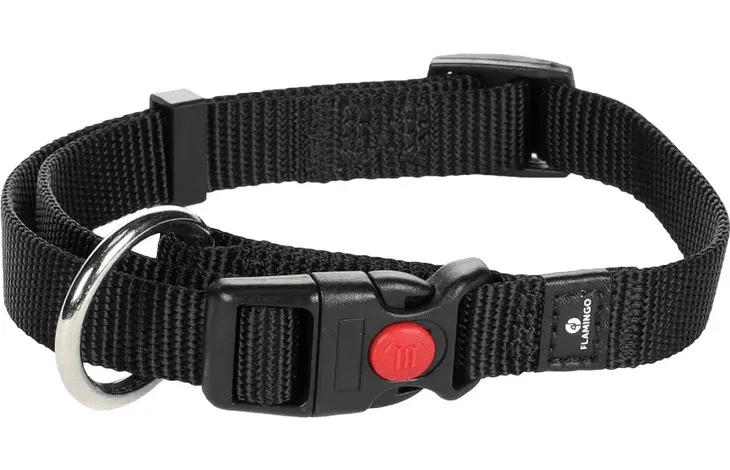 Collier pour chien noir 40-55 cm taille M