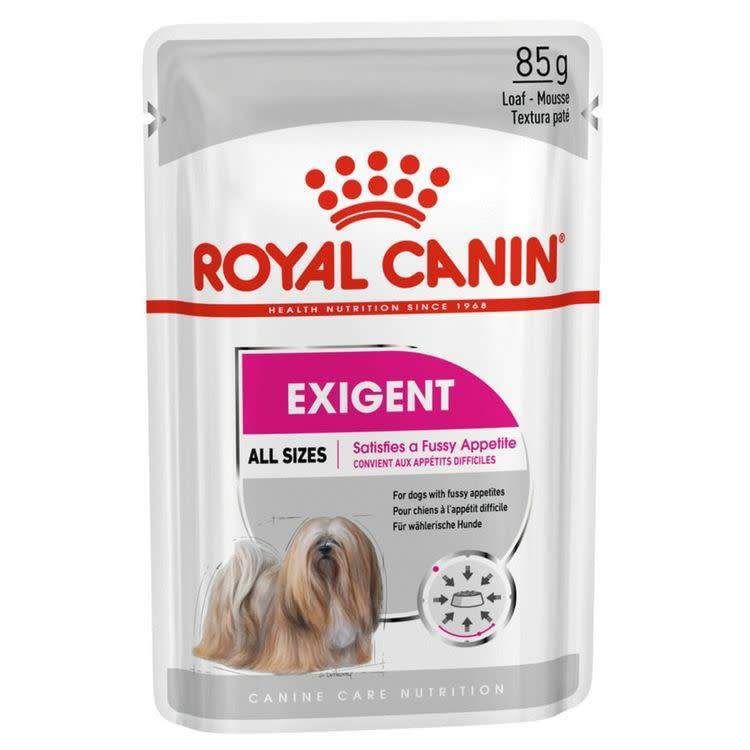 Royal Canin Exigent – Pâtée chien appétit difficile 85 g
