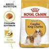 Royal Canin Cavalier King Charles Adult – Croquettes chien 1,5 kg