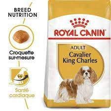 Royal Canin Cavalier King Charles Adult – Croquettes chien 1,5 kg