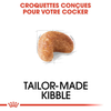 Royal Canin Cocker Adult – Croquettes chien adulte 3 kg