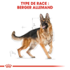 Royal Canin Berger Allemand Adult – Croquettes chien adulte 11 kg