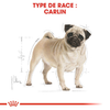 Royal Canin Carlin Adult – Croquettes chien adulte 1,5 kg
