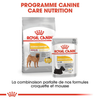 Royal Canin Medium Dermacomfort – Croquettes chien peau sensible race moyenne 12 kg