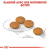 Royal Canin Mini Dermacomfort – Croquettes chien peau sensible 3 kg