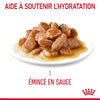 Royal Canin Digest Sensitive – Pâtée chat digestion sensible 85 g
