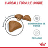 Royal Canin Hairball Care – Croquettes chat boules de poils 2 kg