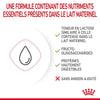 Royal Canin Babycat Milk – Lait maternisé pour chaton 300 g