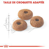 Royal Canin Fit 32 – Croquettes chat adulte 400 g