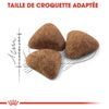 Royal Canin Indoor 27 – Croquettes chat d'intérieur 2 kg