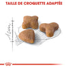 Royal Canin Sensible 33 – Croquettes chat digestion sensible 400 g