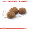 Royal Canin Sterilised 37 – Croquettes chat stérilisé 10 kg