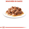 Royal Canin Instinctive – Pâtée chat adulte en sauce 85 g