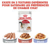 Royal Canin Instinctive – Pâtée chat adulte en sauce 85 g