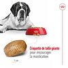 Royal Canin Giant Adult – Croquettes chien race géante 15 kg
