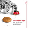 Royal Canin Medium Adult – Croquettes chien adulte race moyenne 15 kg