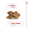 Royal Canin Mini Adult 8+ – Croquettes chien senior petite race 2 kg
