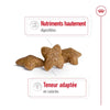 Royal Canin Mini Adult – Croquettes chien petite race 8 kg