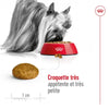 Royal Canin X-Small Adult – Croquettes chien très petite race 500 g