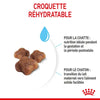 Royal Canin Mother & Babycat – Croquettes chaton et chatte 400 g
