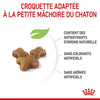 Royal Canin Kitten – Croquettes chaton 2 kg