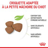 Royal Canin Mini Puppy – Croquettes chiot petite race 2 kg