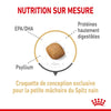 Royal Canin Pomeranian Adult – Croquettes chien adulte 1,5 kg