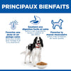 Hill's Science Plan Adult – Croquettes chien adulte poulet 14 kg