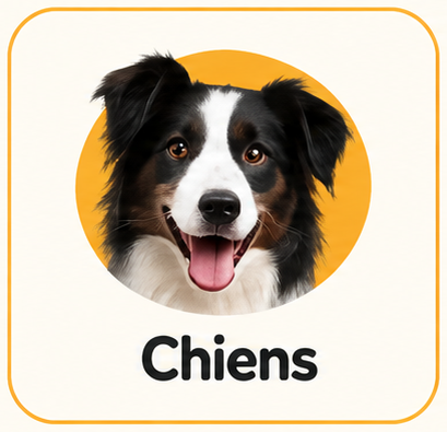 Chiens