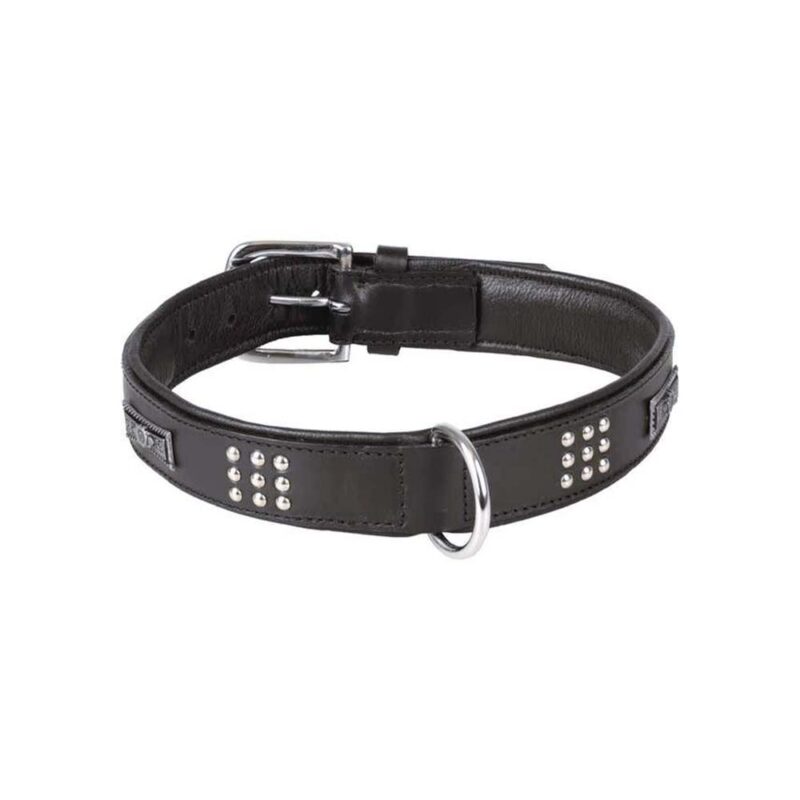 Collier chien Sedona Cuir+ferrures