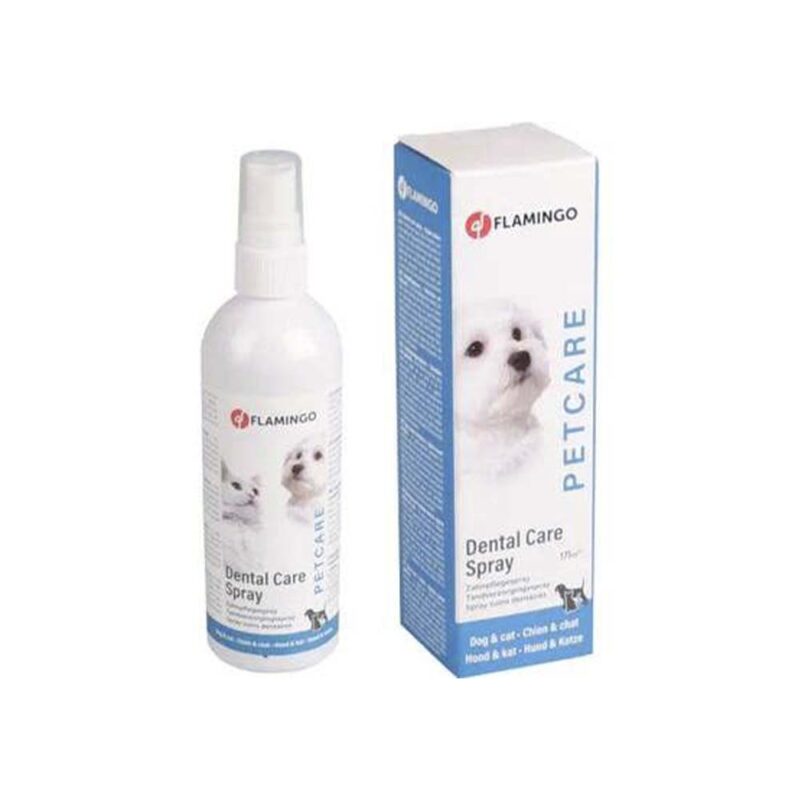 Dental Care Spray 200ML