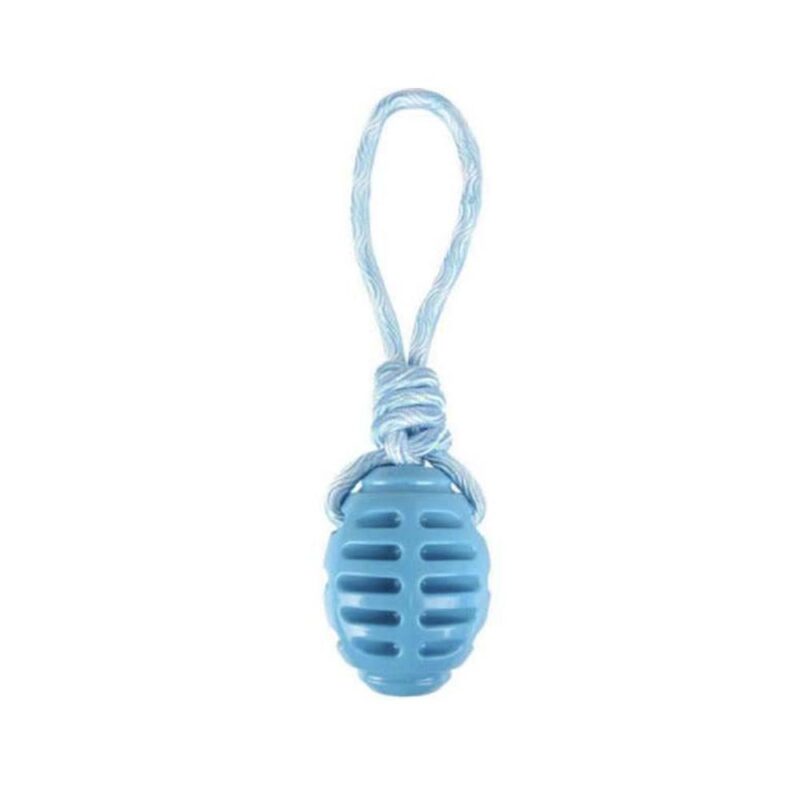 Jouet Pour Chien 33CM